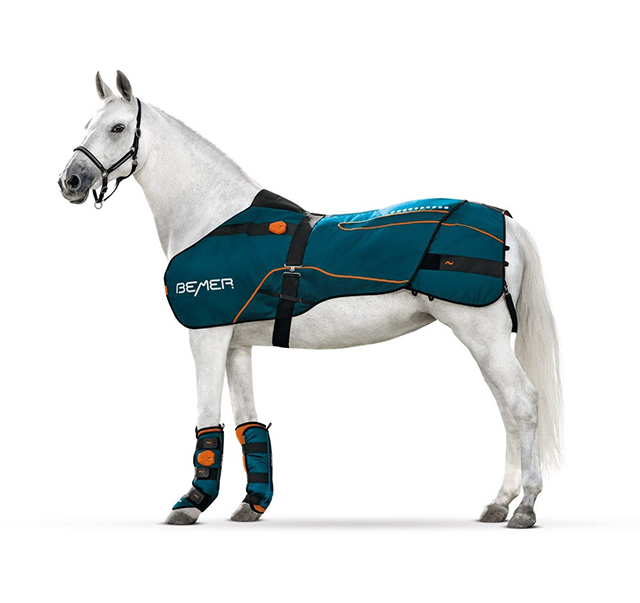 BEMER Horse Set